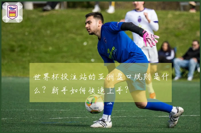 世界杯投注站的亚洲盘口规则是什么？新手如何快速上手？