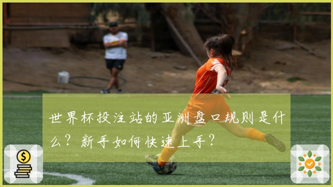 世界杯投注站的亚洲盘口规则是什么？新手如何快速上手？